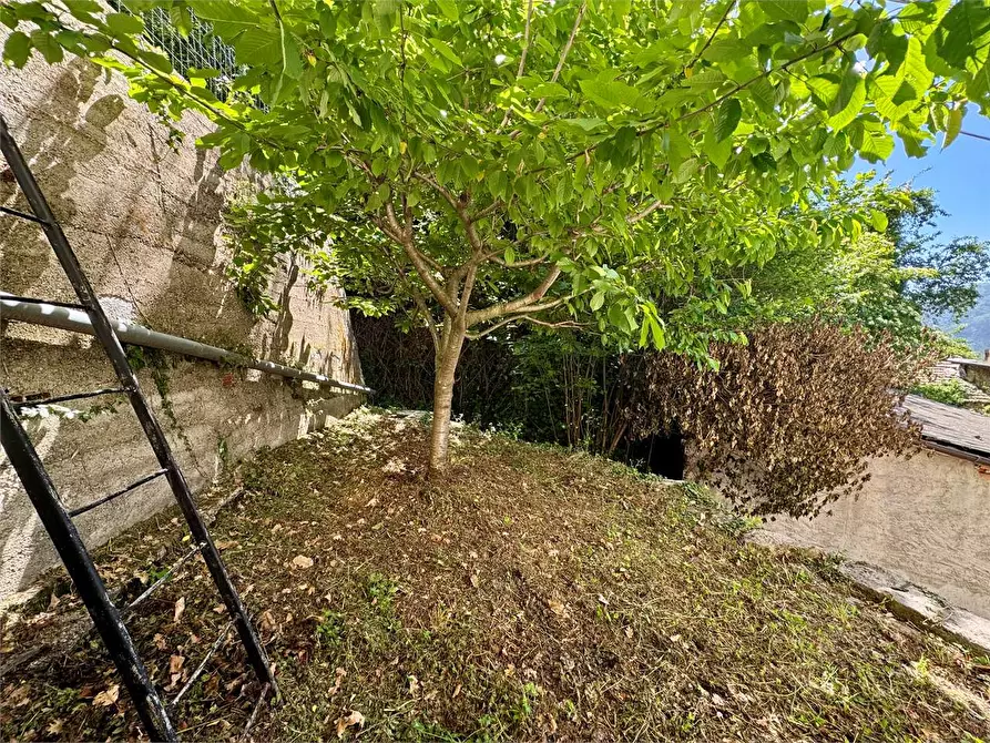 Immagine 71 di Casa indipendente in vendita  in Via Annunziata  47 a Pornassio
