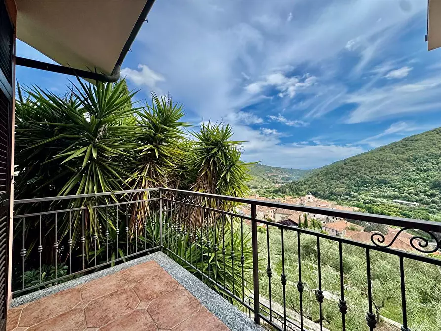 Immagine 46 di Villa in vendita  in Via Silvio Del Becchi a Pontedassio