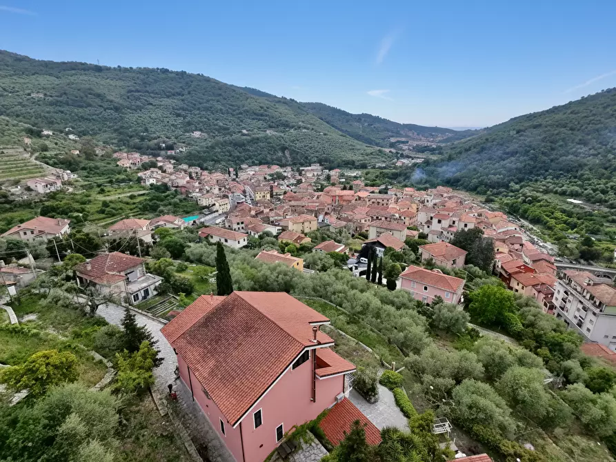 Immagine 72 di Villa in vendita  in Via Silvio Del Becchi a Pontedassio