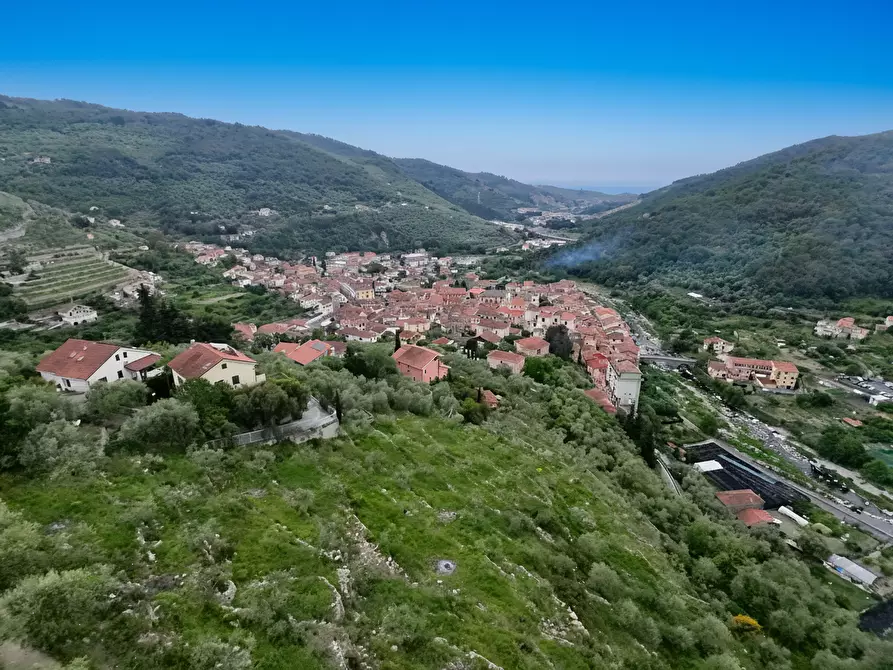 Immagine 76 di Villa in vendita  in Via Silvio Del Becchi a Pontedassio