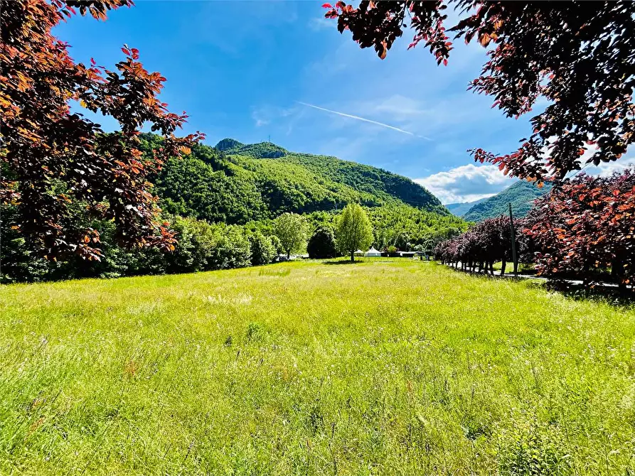 Immagine 2 di Terreno edificabile in vendita  in Via Garelli / Strada per Albenga  a Garessio