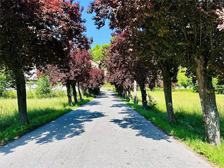 Immagine 6 di Terreno edificabile in vendita  in Via Garelli / Strada per Albenga  a Garessio