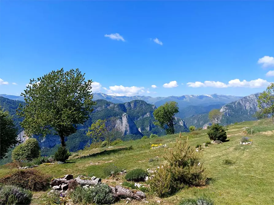 Immagine 38 di Casa indipendente in affitto  in Frazione Quarzina Borgata Biranco a Ormea