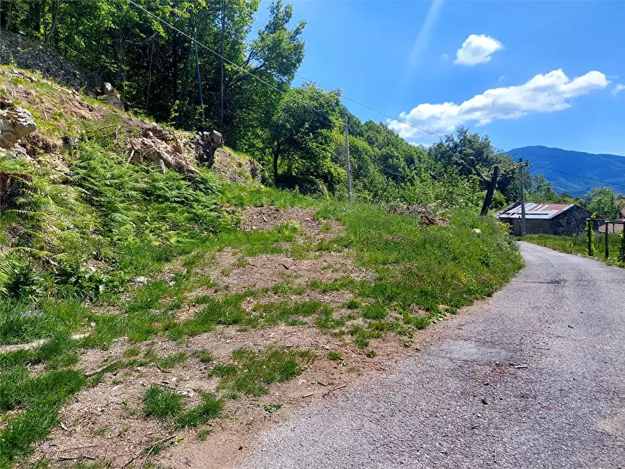 Immagine 21 di Casa indipendente in vendita  in Borgata Sen Frazione Quarzina a Ormea