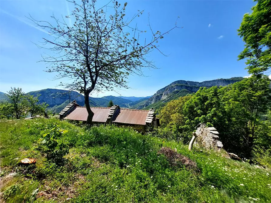 Immagine 3 di Casa indipendente in vendita  in Borgata Sen Frazione Quarzina a Ormea