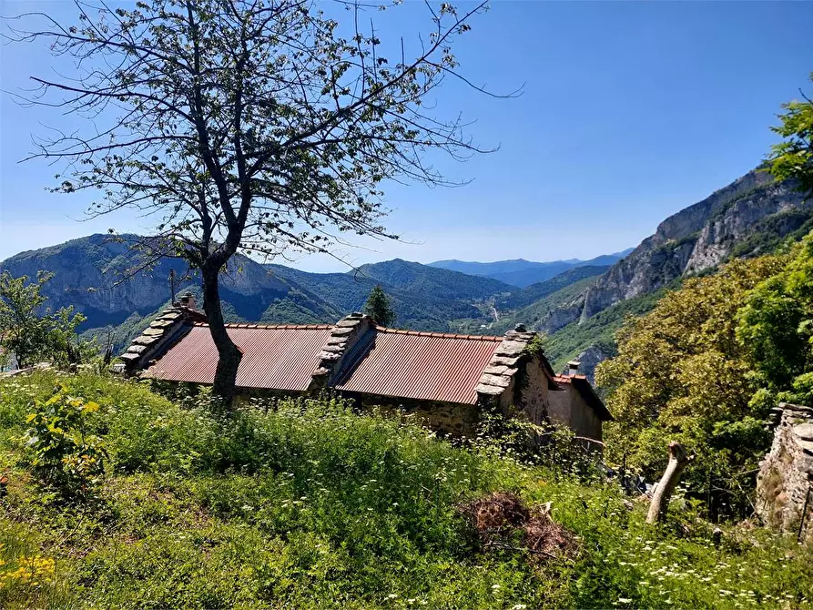 Immagine 4 di Casa indipendente in vendita  in Borgata Sen Frazione Quarzina a Ormea