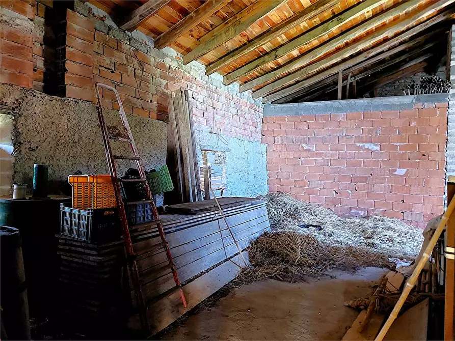 Immagine 7 di Quadrilocale in vendita  in Località Costa  1 a Onzo