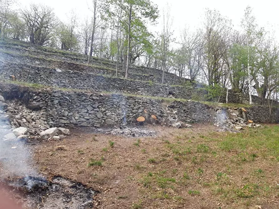 Immagine 66 di Rustico / casale in vendita  in Regione Piambernardo a Garessio