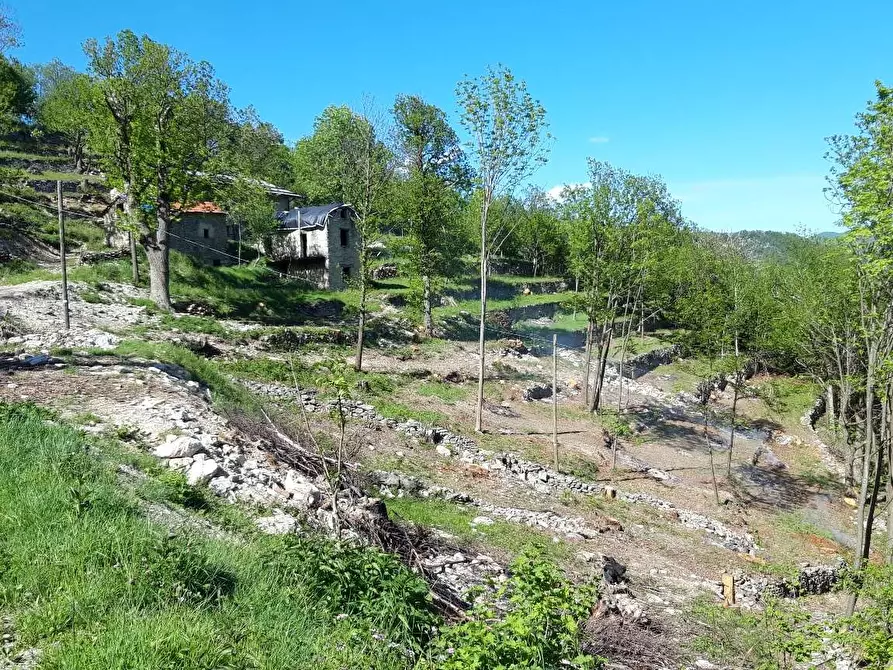 Immagine 63 di Rustico / casale in vendita  in Regione Piambernardo a Garessio