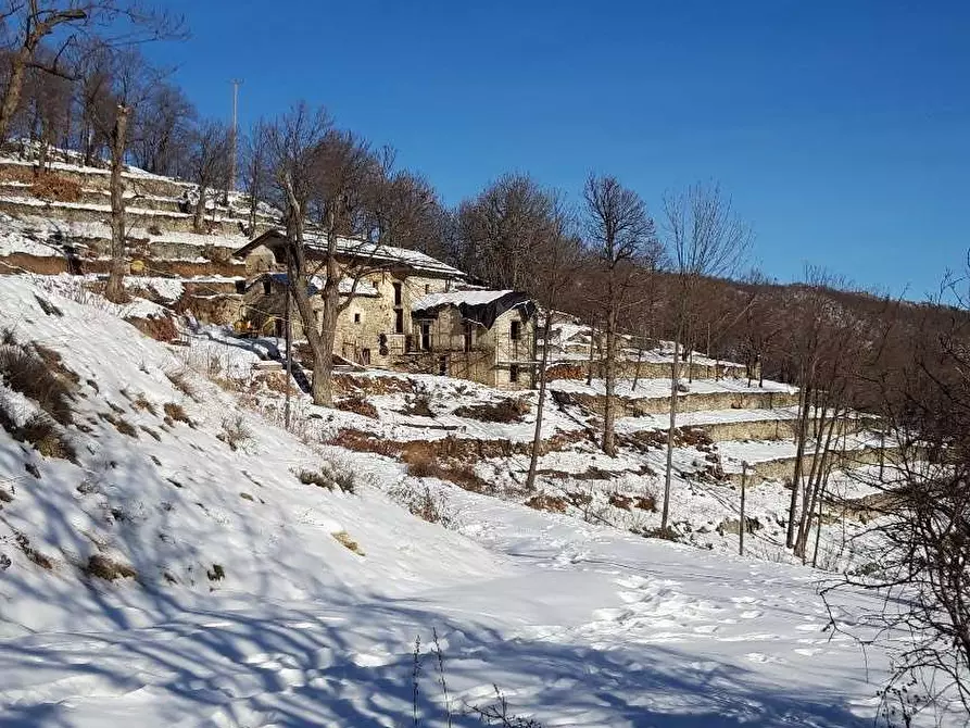 Immagine 68 di Rustico / casale in vendita  in Regione Piambernardo a Garessio