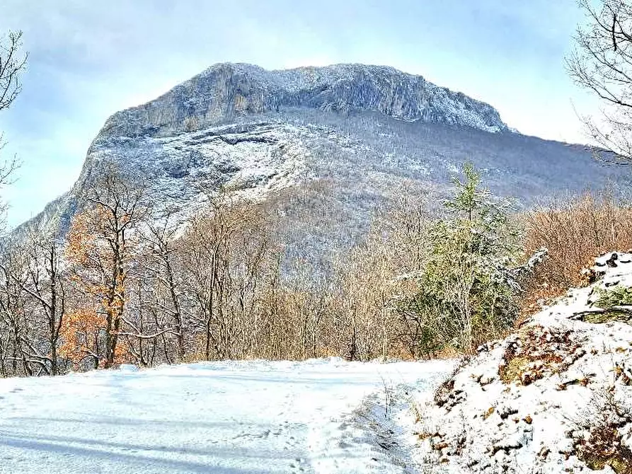 Immagine 72 di Rustico / casale in vendita  in Regione Piambernardo a Garessio