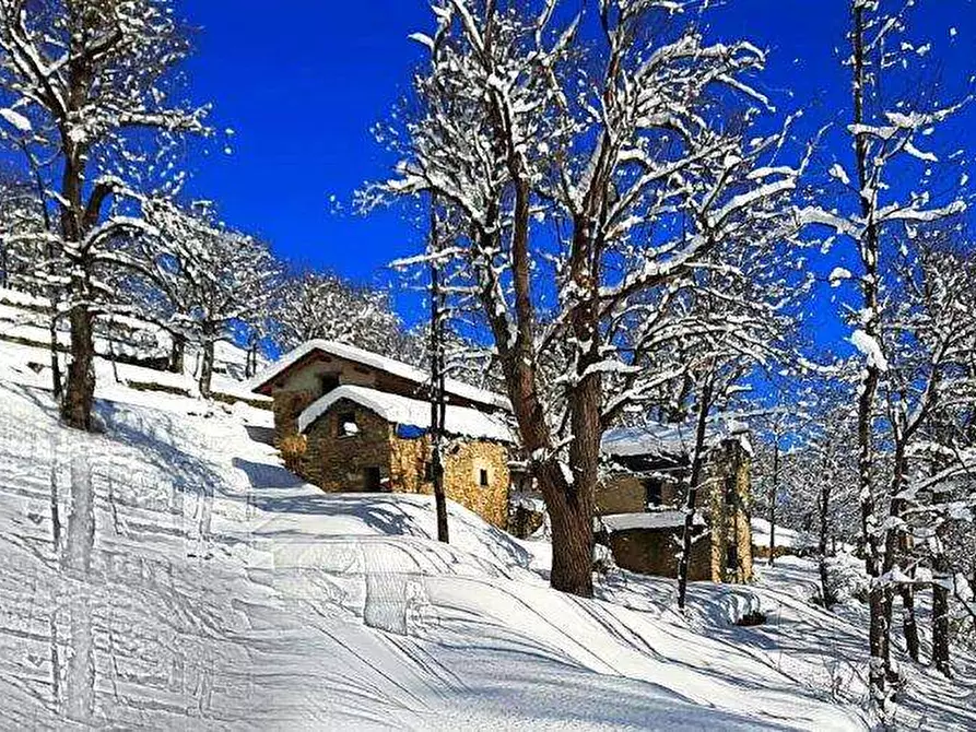 Immagine 60 di Rustico / casale in vendita  in Regione Piambernardo a Garessio