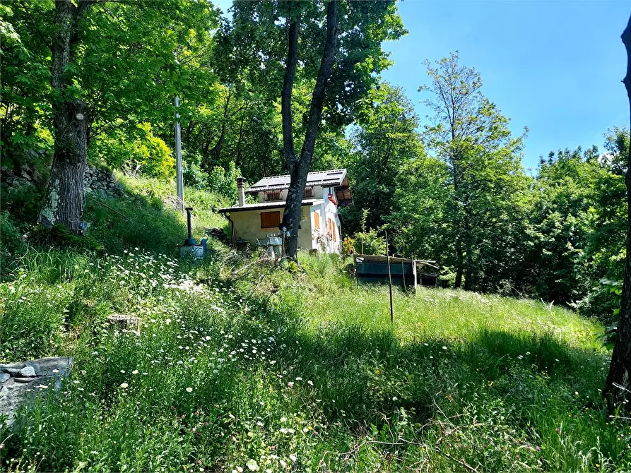 Immagine 37 di Casa indipendente in vendita  in Frazione Quarzina Borgata Sen a Ormea