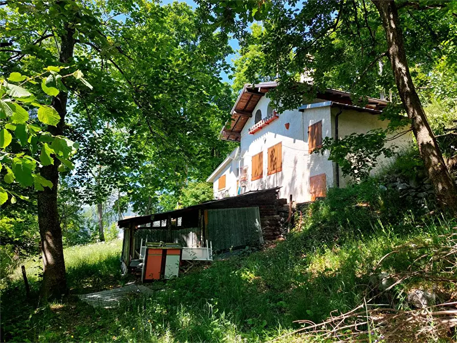 Immagine 5 di Casa indipendente in vendita  in Frazione Quarzina Borgata Sen a Ormea