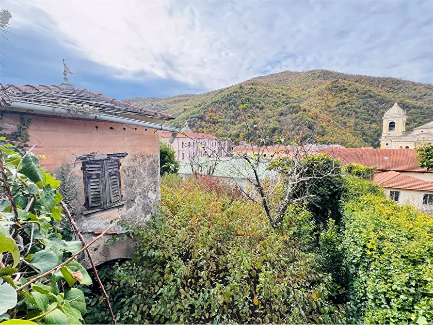Immagine 1 di Terreno agricolo in vendita  in Vico Al Lavatoio 2 a Pieve Di Teco