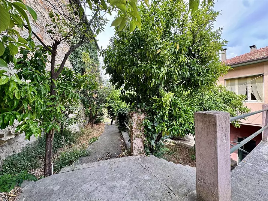 Immagine 20 di Casa indipendente in vendita  in Piazza Pietro Verano a Chiusavecchia