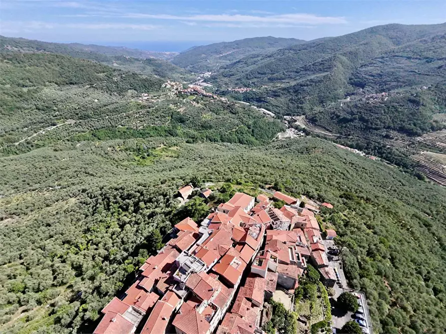 Immagine 46 di Casa indipendente in vendita  a Chiusanico