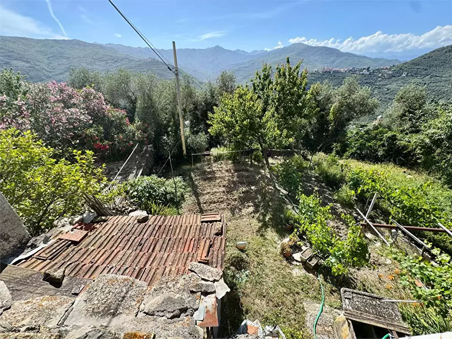 Immagine 43 di Casa indipendente in vendita  a Chiusanico