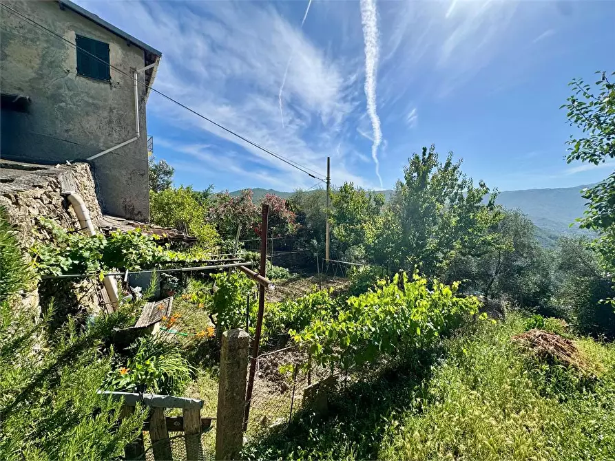 Immagine 44 di Casa indipendente in vendita  a Chiusanico