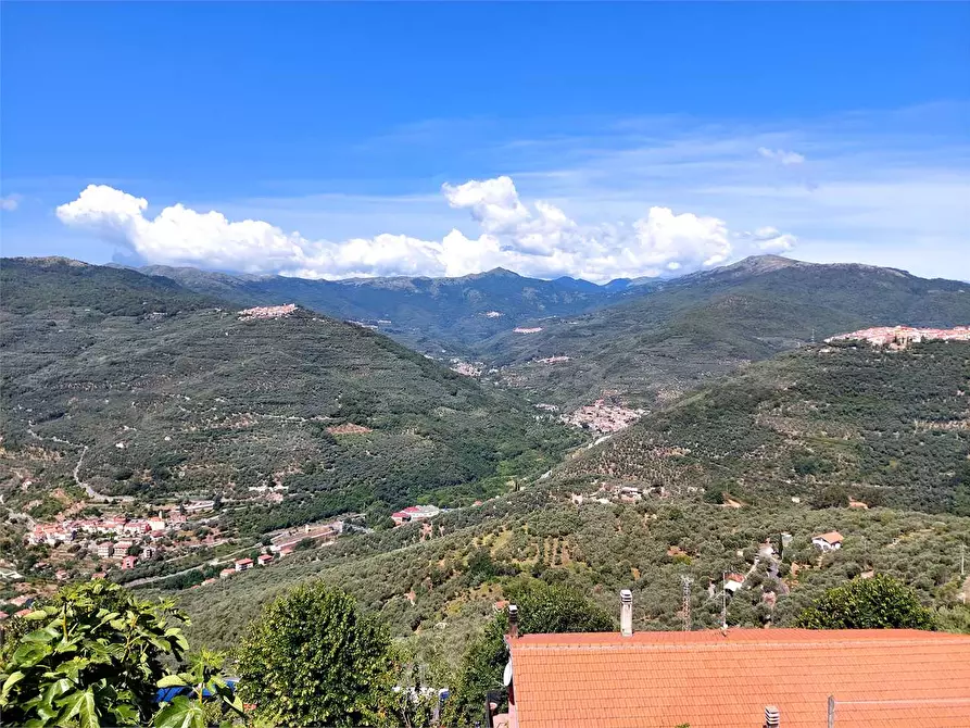 Immagine 57 di Stabile in vendita  in Via Umberto I  11 a Chiusanico