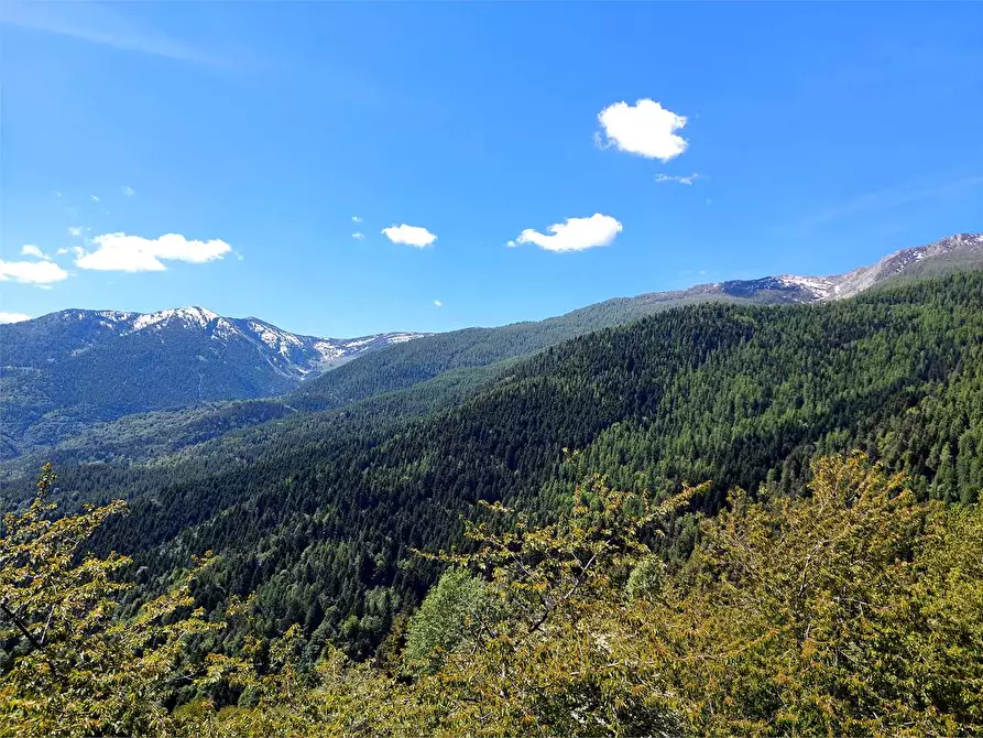 Immagine 18 di Casa indipendente in vendita  in Strada Provinciale a Mendatica