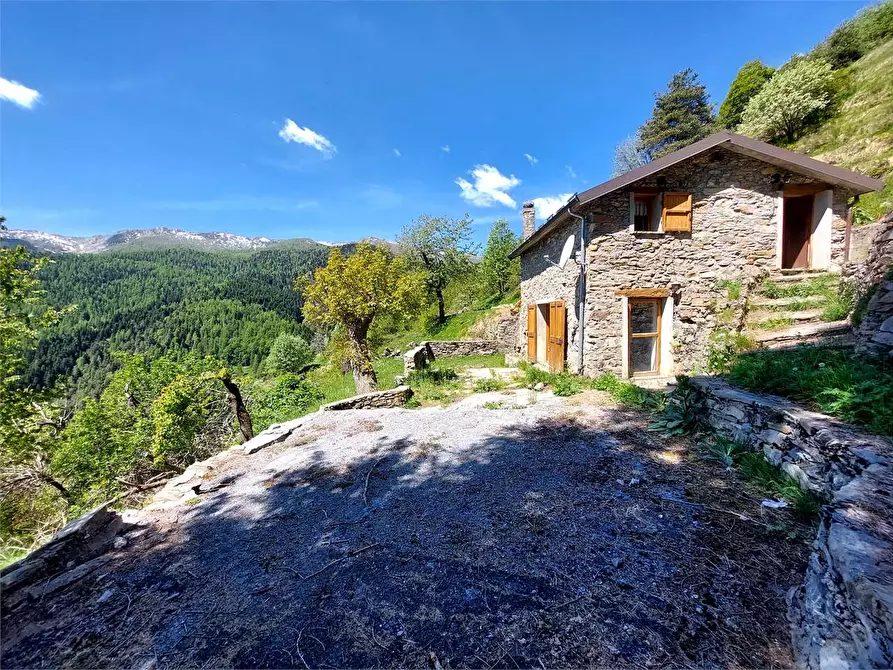 Immagine 35 di Casa indipendente in vendita  in Strada Provinciale a Mendatica