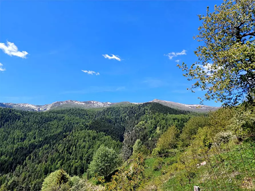 Immagine 39 di Casa indipendente in vendita  in Strada Provinciale a Mendatica