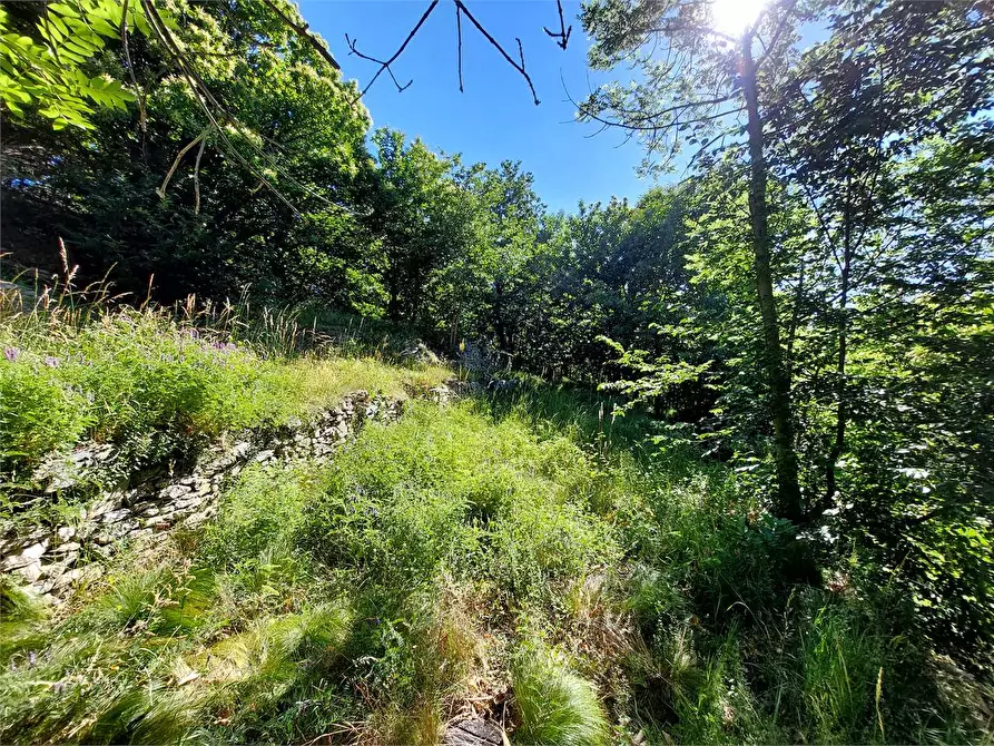Immagine 49 di Rustico / casale in vendita  in Regione Piambernardo a Garessio