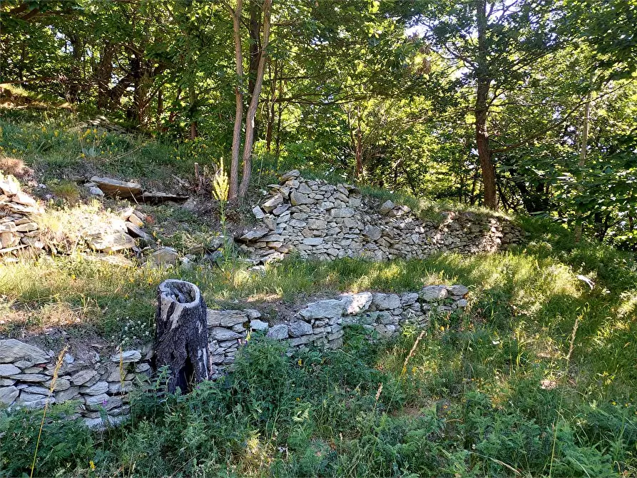 Immagine 50 di Rustico / casale in vendita  in Regione Piambernardo a Garessio