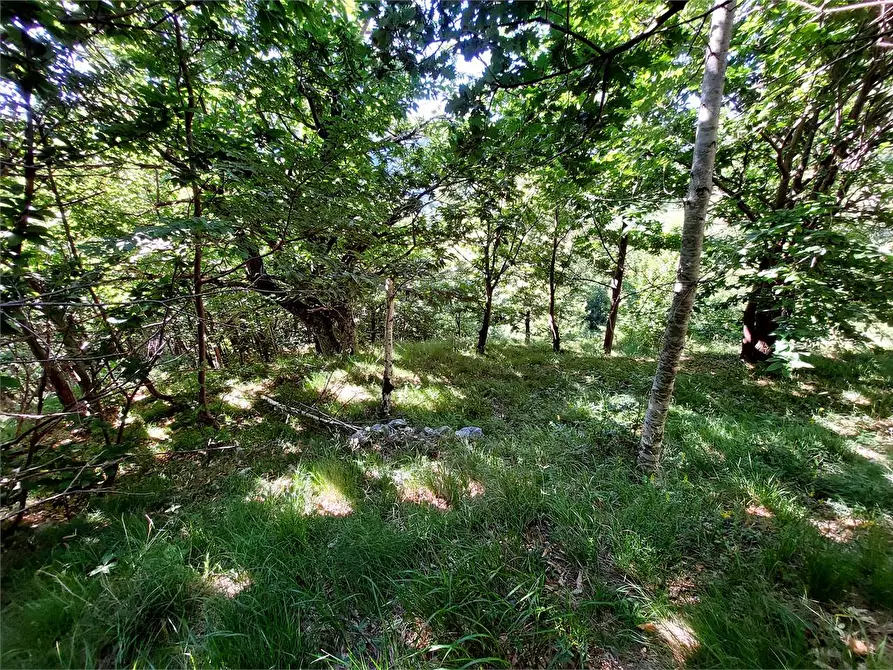 Immagine 51 di Rustico / casale in vendita  in Regione Piambernardo a Garessio