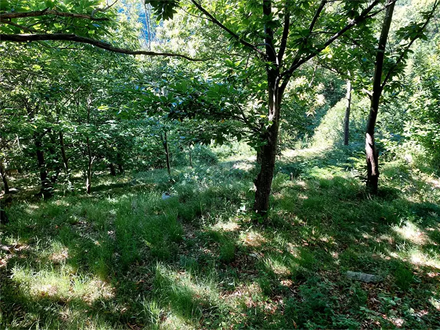 Immagine 52 di Rustico / casale in vendita  in Regione Piambernardo a Garessio