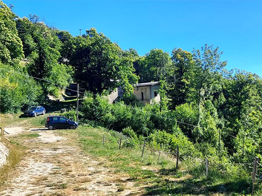 Immagine 57 di Rustico / casale in vendita  in Regione Piambernardo a Garessio