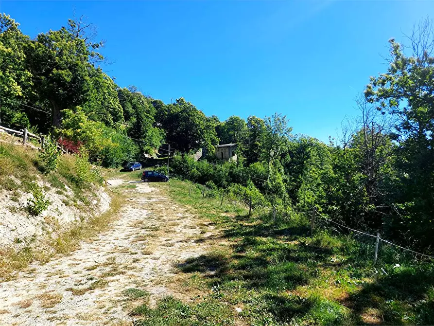 Immagine 58 di Rustico / casale in vendita  in Regione Piambernardo a Garessio