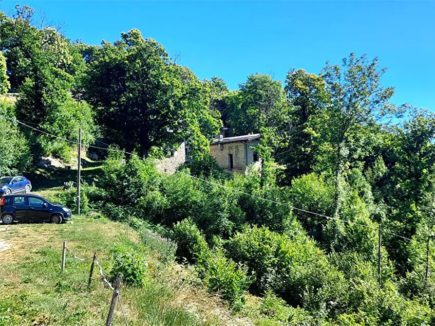 Immagine 56 di Rustico / casale in vendita  in Regione Piambernardo a Garessio