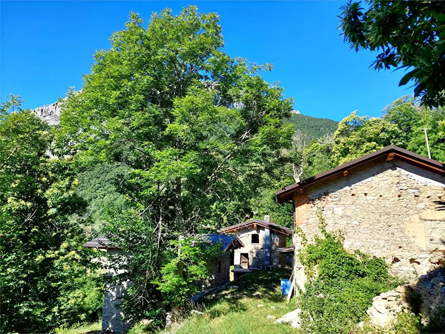 Immagine 46 di Rustico / casale in vendita  in Regione Piambernardo a Garessio