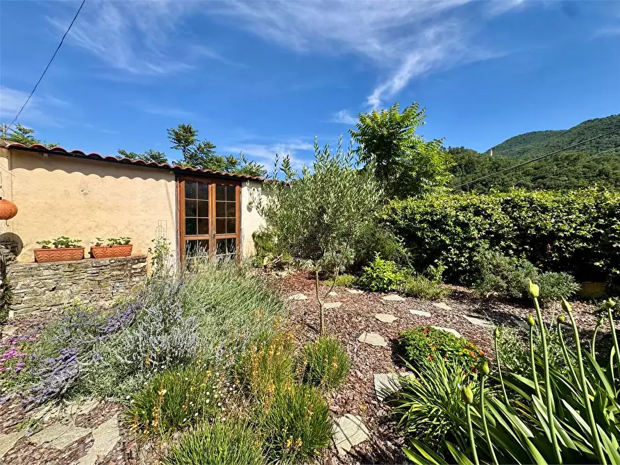 Immagine 44 di Maisonette in vendita  in Borgata Cavalli 5 a Stellanello