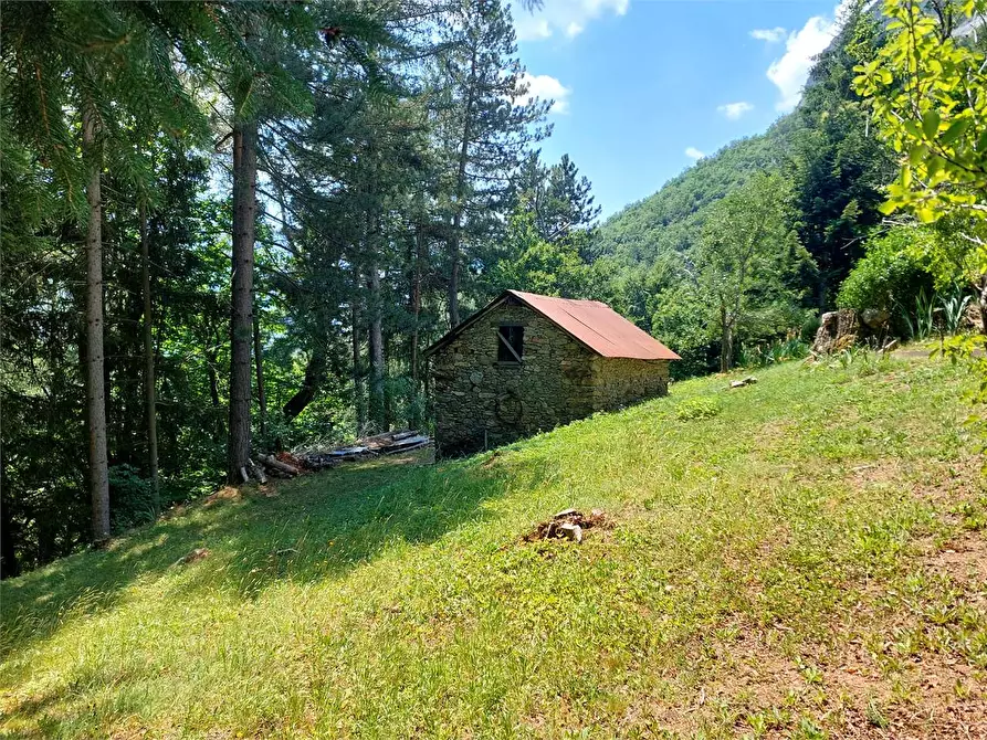 Immagine 44 di Casa indipendente in vendita  in Frazione Piambernardo a Garessio