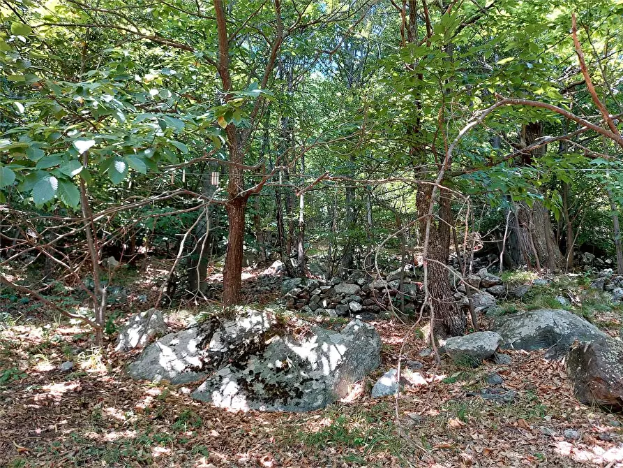 Immagine 52 di Casa indipendente in vendita  in Frazione Aimoni  a Ormea