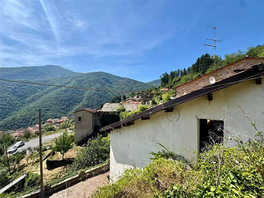 Immagine 42 di Casa indipendente in vendita  in Via Cavour 64 a Rezzo