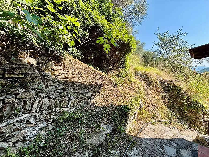 Immagine 61 di Casa indipendente in vendita  in Salita ai prati 3 a Pieve Di Teco