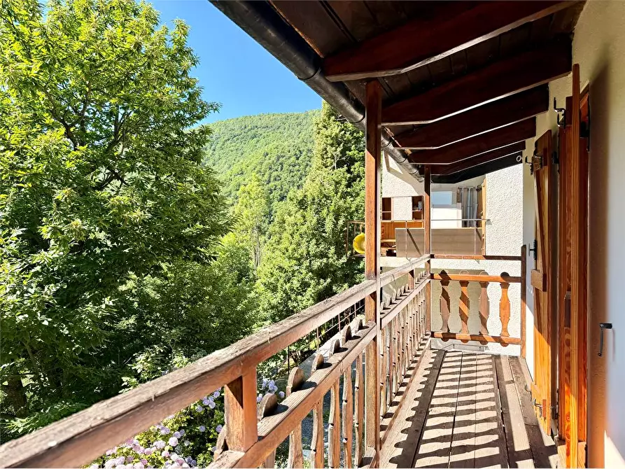 Immagine 22 di Casa indipendente in vendita  in Località Tibidò Pronzai  a Ormea