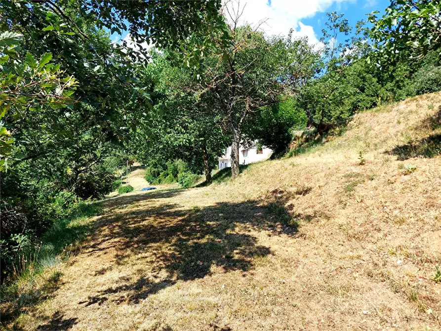 Immagine 27 di Casa indipendente in vendita  in Via Porenca 12 a Garessio