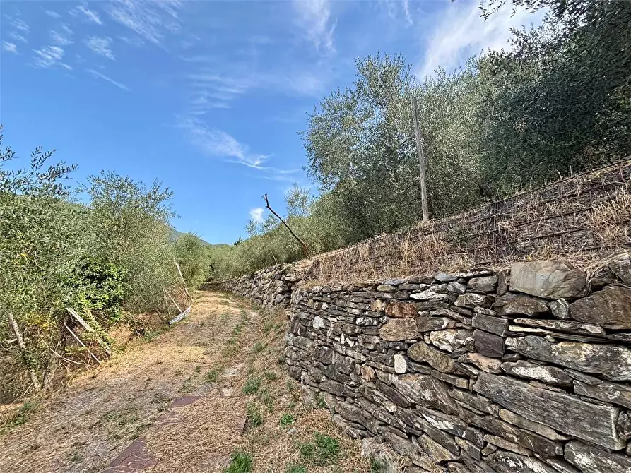 Immagine 2 di Terreno agricolo in vendita  in Borgo Montà  4 a Aquila D'arroscia
