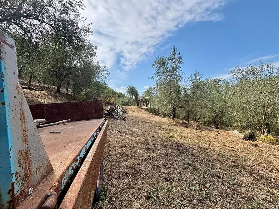Immagine 7 di Terreno agricolo in vendita  in Borgo Montà  4 a Aquila D'arroscia