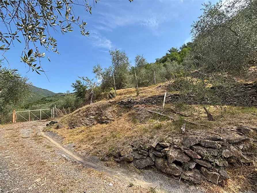 Immagine 9 di Terreno agricolo in vendita  in Borgo Montà  4 a Aquila D'arroscia