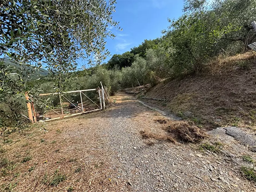Immagine 11 di Terreno agricolo in vendita  in Borgo Montà  4 a Aquila D'arroscia