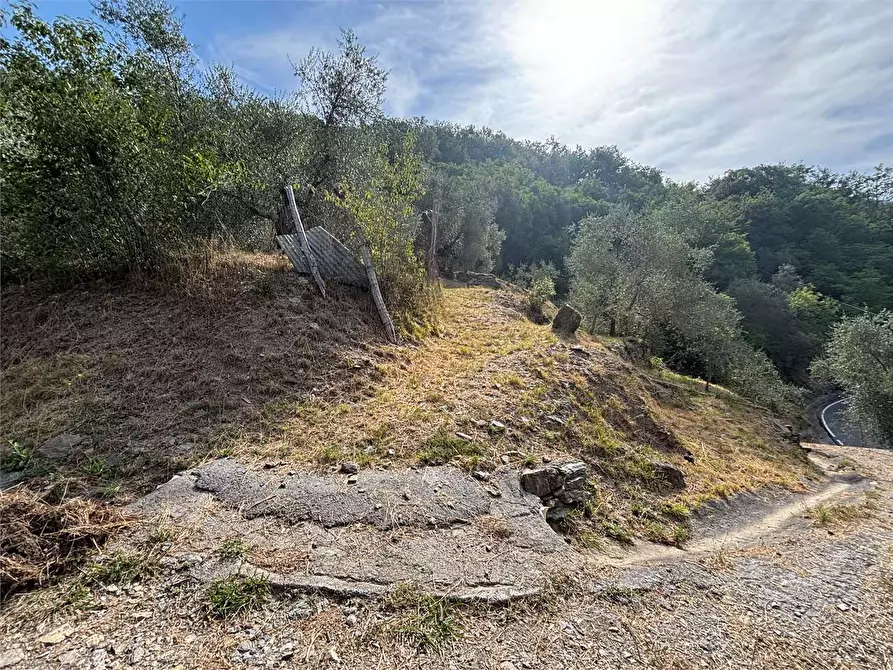 Immagine 12 di Terreno agricolo in vendita  in Borgo Montà  4 a Aquila D'arroscia