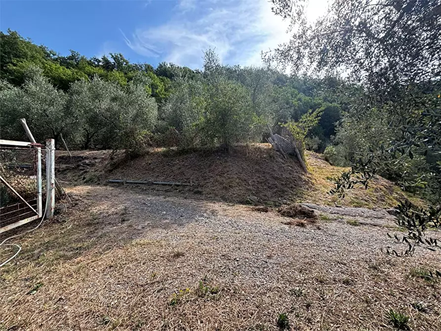 Immagine 14 di Terreno agricolo in vendita  in Borgo Montà  4 a Aquila D'arroscia