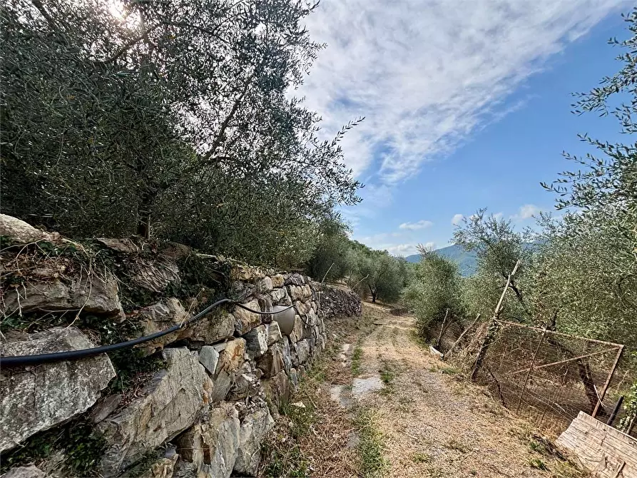 Immagine 20 di Terreno agricolo in vendita  in Borgo Montà  4 a Aquila D'arroscia