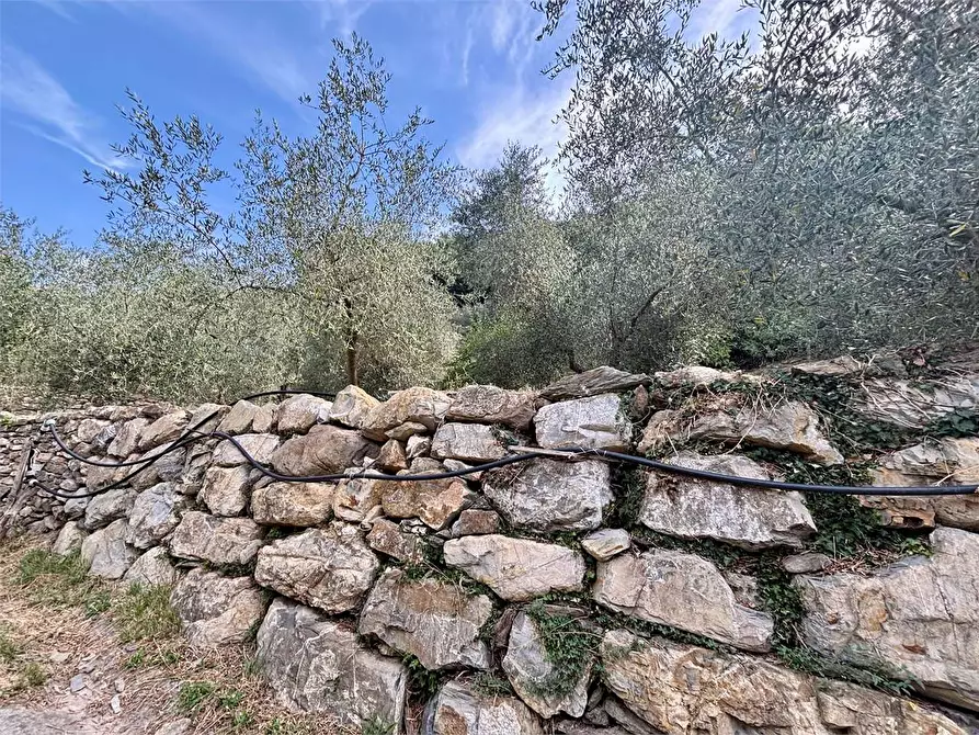 Immagine 21 di Terreno agricolo in vendita  in Borgo Montà  4 a Aquila D'arroscia